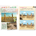 [小牛頓]PLAY&LEARN：沙漠冒險 適合5-8歲 平裝全彩 高階遊戲書, , large