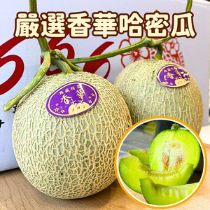 Xiang Hua Melon