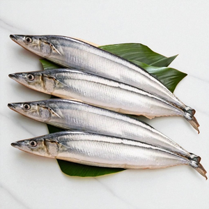 Saury