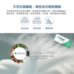 【KIKY】維也納頂級天絲薄墊雙人5尺, , large