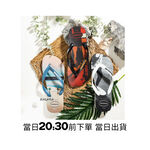 [巴拉娜巴西人字拖專賣店]中壢實體店面Havaianas哈瓦仕 哈瓦士 夾腳拖/人字拖 HYPE 男款沙灘 海灘 海邊, , large