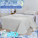 【FOCA】盛夏果園 | 沁涼抗菌銀離子防蹣涼感紗雪糕涼被/四季被 150x200cm, , large