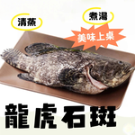 Dragon Tiger Grouper, , large