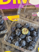 Blueberry, , large