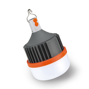 Rechargeable Hook Light
