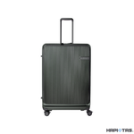 HAPI+TAS, , large
