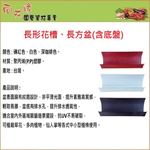 26cm Rectangular Planter Box (With Saucer) &ndash; White, , large