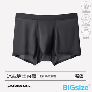 大尺碼-抗菌無痕120支冰絲內褲-黑/深灰/綠/藍-0305038