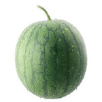 Small Watermelon, , large
