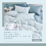【帕瑪PAMA】60S 100%天絲兩用被床包組/雙人/槿恩, , large