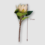 ARTFIACIAL PROTEA CYNAROIDES SPARY-WHITE, , large