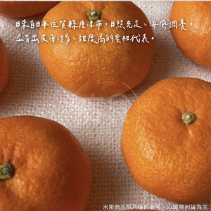 【寅食3 a.m.】日本和歌山空運無籽小蜜柑2kg禮盒(附提袋)