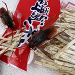cockroach-clip, , large