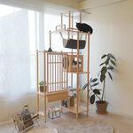 【paipaipets】Bien Bien Cat Tree - Observation Platform, , large