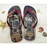 [巴拉娜巴西人字拖專賣店]中壢實體店面Havaianas哈瓦仕 哈瓦士 夾腳拖/人字拖 2024新款 TOP LOL 電玩 沙灘海灘 海邊 男款, , large