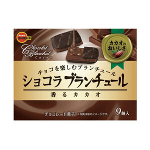 Cocoa Flavored Cookie