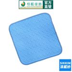 【格藍傢飾】透氣水洗支撐座墊-夏晶  坐墊 涼墊 省電 空氣坐墊 萬用墊 寵物墊, , large
