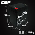 ZEBRA NP2.9-12 (12V2.9Ah)斑馬電池 喊話器 鉛酸電池 不斷電系統 監控與防盜系 緊急照明 醫療設備, , large