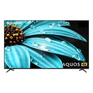 SHARP 4T-C55FJ1X UHD Display