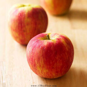 【樂果~一起買水果】紐西蘭有機富士蘋果原裝箱(每箱約17.5公斤/90-100顆)※預購-6月上旬依序出貨