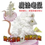 GS MALL 台灣製造 魔法成長錢鼠 魔法開花鼠 成長鼠 錢鼠 神奇錢鼠 紙花 開花鼠 裝飾樹 開花樹, , large