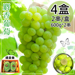 Korean Muscat Grape Gift Box, , large