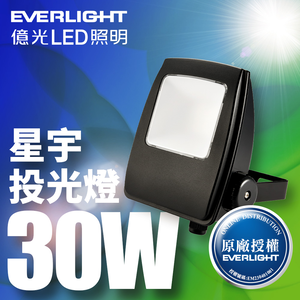 Everlight億光 LED 星宇 30W 全電壓 IP65 投光燈(白光)