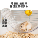 超靜音【鼠鼠透明跑跑輪】老鼠滾輪 倉鼠 黃金鼠 滾輪 健康運動環境 寵物運動用品 小動物, , large