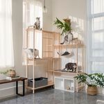 【paipaipets】Bien Bien Cat Tree - Delux, , large