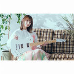 instrument, , large