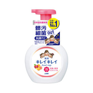 日本獅王趣淨洗手慕斯-清新果香250ml