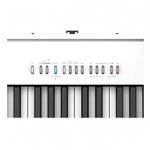 Roland FP-30X 88鍵 數位電鋼琴 含琴架組 白色/黑色款【敦煌樂器】, , large