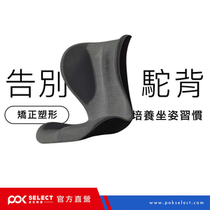 Lumbar Support Cushion-Black