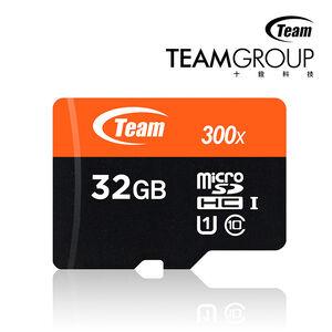 Team MicroSD 32GB