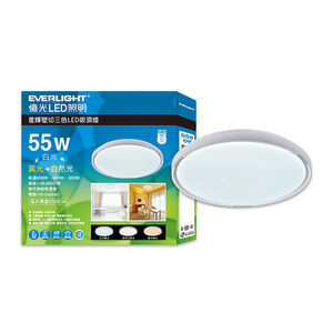 Everlight  55W LED  Ceiling Lamp (SY)