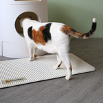 cat litter mat, , large