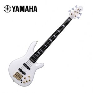 instrument