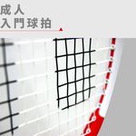 【Healgenart】成人入門球拍 羽球拍, , large