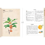 《南門書局》花百科 一巨冊~花卉.觀葉植物.多肉植物.觀果植物, , large