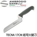 【SANELLI 義大利製 TECNA系列 起司火腿刀 17CM 雙色選擇】防滑效果佳 火腿刀 切肉刀 火腿, , large