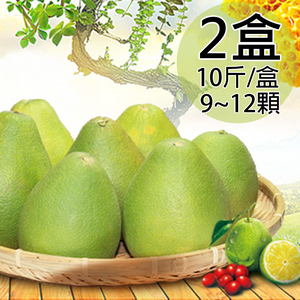 【一等鮮】麻豆文旦禮盒2盒〈9~12粒/10斤/盒〉(免運費)