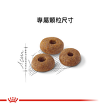 【拉拉寵物小舖】法國皇家 貓飼料 F32 理想體態成貓專用乾糧 15公斤, , large