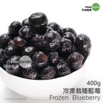 冷凍栽種藍莓, , large