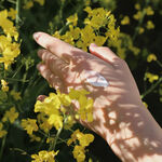 Skandinavisk FJORD 風之耳語 護手霜 75ml, , large