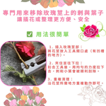 金德恩 GS MALL 台灣製造 玫瑰刮刺器 拔刺器 除刺器 剔刺器 除刺 去刺  插花  藤蔓刺 去刺工具 園藝工具, , large