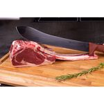 蓋瑞廚物【SANELLI 義大利製 BBQ 屠夫切肉刀  26 31 cm】 牛排刀 牛肉刀 燒烤刀 烤肉刀 屠夫刀, , large