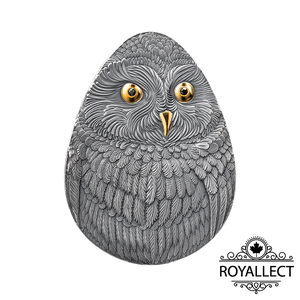 SHORT-EARED OWL Marvelous Owls 1 Oz Silver Coin 2 Dollars Niue 2024