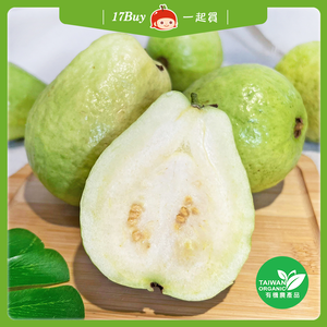 【一起買】產地直送 - 有機珍珠芭樂 約12-15顆 / 4.8kg(箱)