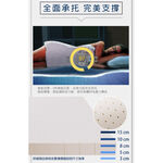 【日本藤田】100%天然乳膠床墊5CM 折疊床墊 學生床墊 乳膠墊 摺疊床墊 泰國乳膠, , large