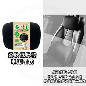 Car Cushions